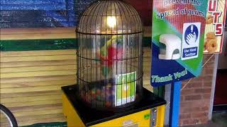 Coin Operated Glendale Parrot Vending Egg Amusement Arcade Machine [upl. by Eicats225]