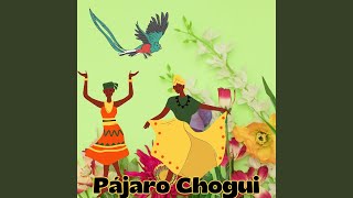 Pajaro Chogui [upl. by Leeland566]