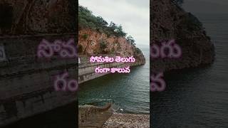 somasila Telugu ganaga canal pennariver trending shorts shortvideo viralvideo video water [upl. by Osterhus]