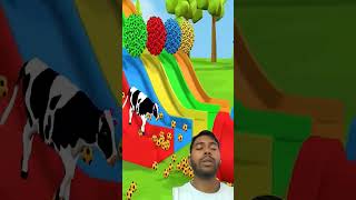 Long Slide Game With Elephant Gorilla Cow Fox Horse Lion Hippopotamus Tiger 3d Animal Game [upl. by Elboa913]