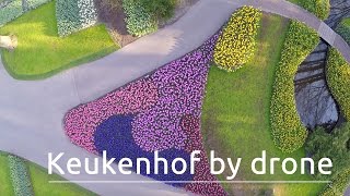 Keukenhof The Worlds Biggest Flower Garden Filmed With A Drone [upl. by Timothee]