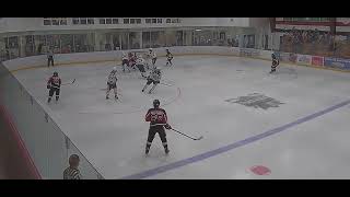 Saves from dundas and hagersville games [upl. by Emerej116]