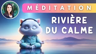 Remède AntiStress en 15 Min  Méditation du calme [upl. by Chris433]