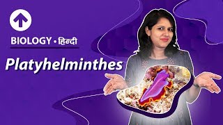 Platyhelminthes  Hindi  Diversity In Living Organisms  Biology Class 9 [upl. by Jezrdna641]