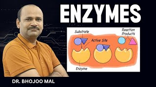 Enzyme Introduction Class 11 Biology  by Dr Bhojoo Mal [upl. by Trenna]