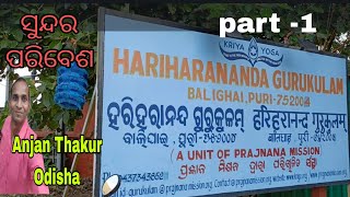 Hariharananda Gurukulam 2024  Balighai Puri  Odisha [upl. by Thalia105]