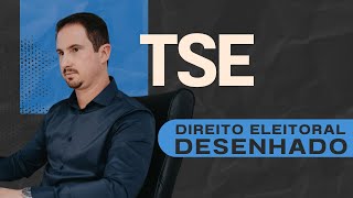 TSE  Direito Eleitoral Desenhado [upl. by Llenod]