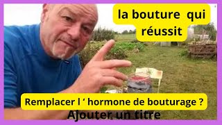 Questce qui peut remplacer lhormone de bouturage [upl. by Konstance]