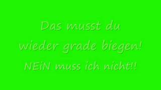 Grossstadtgeflüster  ich muss gar nix Lyrics [upl. by Esinnej151]