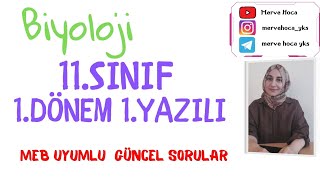 Biyoloji 11SINIF 1Dönem 1Yazılı yazılıyahazırlık [upl. by Aderb]