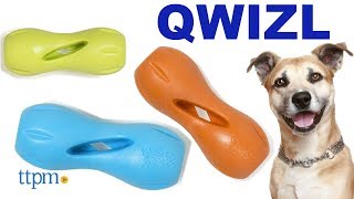 QWIZL Chew Toy from West Paw Design [upl. by Ravid]