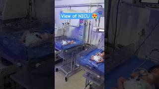 View NICU 😍 nicu nicucare neonate paediatric nursingprofession ytshorts shortsfeed hospital [upl. by Lee]