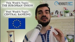 Eurozone Flaws EU MonetaryFiscal Policy European Union PoliticsDemocracy One Minute Answers [upl. by Nnahs]