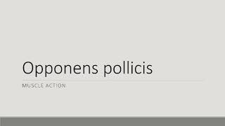 Opponens Pollicis Action [upl. by Ciredor]