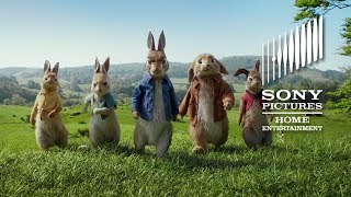 PETER RABBIT Now on Digital amp on Bluray and DVD Combo Pack May 1 [upl. by Reld929]