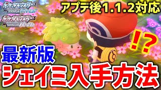 【ポケモンBDSP】ダイパリメイクのアプデ後もできるシェイミをゲットする方法が海外で発見！！！なみのりバグ復活！！！！【ポケットモンスター ブリリアントダイヤモンド・シャイニングパール】 [upl. by Eeryk]