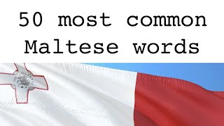 Learn Maltese the 50 most used Maltese words [upl. by Waite]