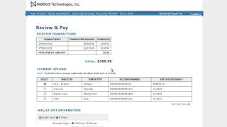 Epay How To Process a Transaction Nodus Online Bill Pay [upl. by Ahtnama491]