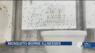 New mosquitoborne illness has experts concerned [upl. by Adolf]