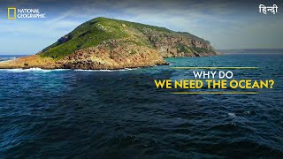 Why Do We Need the Ocean  Hostile Planet  Full Episode S01E02  हिन्दी  National Geographic [upl. by Enneirb603]