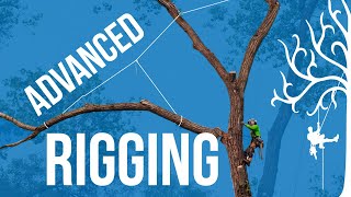 Advanced Rigging techniques over lines how to use GRCS for lifting branches Dangerous trees [upl. by Syla]