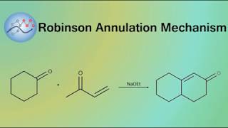 Robinson Annulation Mechanism  Organic Chemistry [upl. by Vevine277]