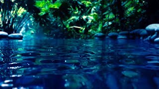 Water Sounds for Sleep or Focus  White Noise Stream 10 Hours [upl. by Ahseinod]