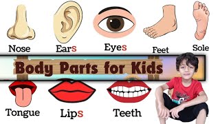 Learn Body parts Body Parts Body Parts For Kids Parts of body with Spellings Body Parts Name [upl. by Siravaj191]