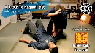 Fundamente Aiki Te Kagami 手鏡 de la Jujutsu la Aikijutsu DaitoRyu Renshinkan  Cristian Laiber [upl. by Ahseinar]