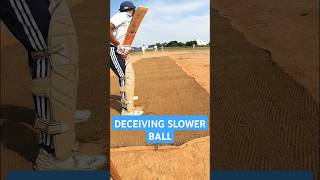 Deceived by Pace ft Vino Gopi cricket tamilcricket tamilshorts goprocricket gopro ytshorts [upl. by Submuloc]