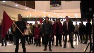 Les Miserables Flash Mob Kingsgate Centre Dunfermline [upl. by Itnaihc756]