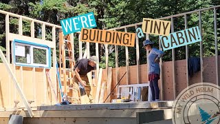 Building a Tiny Cabin on our Off Grid Island  S1 Ep23 [upl. by Yrad900]