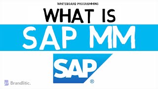 Returnable transport packaging in sap mm [upl. by Legnaleugim]