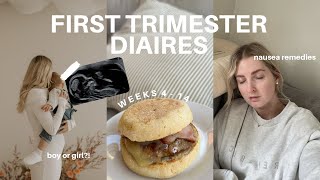 FIRST TRIMESTER VLOG  early pregnancy symptoms gender reveal and nausea remedies 4  14 weeks [upl. by Kelila]