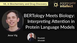 BERTology Meets Biology Interpreting Attention in Protein Language Models  AISC [upl. by Llig]