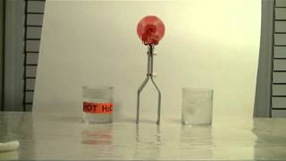 Thermoelectric PeltierSeebeck Effect Demonstration [upl. by Cornelie]