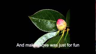 Slide Show de flores Camelias  Jamie O´Neal  All by myself  HD [upl. by Ahseyk]