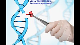 Enzymes in rDNA Technology [upl. by Tut944]