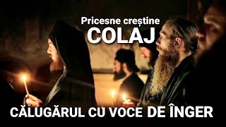 COLAJ  CELE MAI FRUMOASE PRICESNE 2024  O VOCE DE ÎNGER [upl. by Freida]