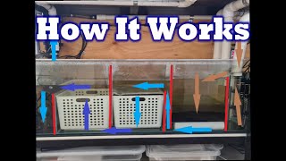 Freshwater Sump Filter Setup [upl. by Boehike]