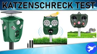 ᐅ Katzenschreck Test 2023  Die besten Katzenschrecks vorgestellt [upl. by Yerggoeg]