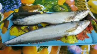 bought tilapia fish 200 taka kg and 11 small boal fish 1200 taka from KAZI bazar date 191124 [upl. by Emlynn]