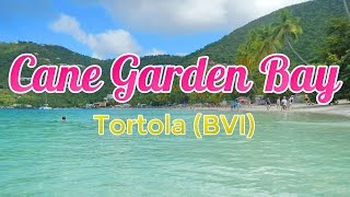 Cane Garden Bay beach  Tortola British Virgin Islands [upl. by Mairhpe]