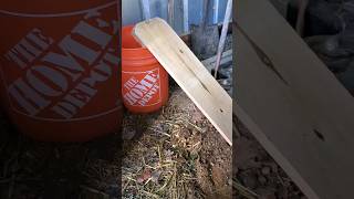 Effective Mouse Trap DIY Bucket Method [upl. by Eniksre855]