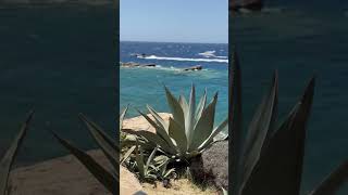 Greece 🇬🇷 Mykonos panoramic scenery with many yachts 🛥️ from Scorpios restaurant to Platis Gialos [upl. by Yak655]