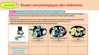 Études morphologiques des sédiments svt 1 bac sc ex option français شرح بالداريجة [upl. by Beall]