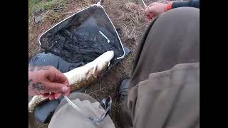 Pike fishing with surface lures at the derwent reservoir [upl. by Gerianna419]