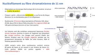 Biologie Moléculaire S5 Darija Partie 1  Introduction quotMatériel Génétiquequot [upl. by Koloski653]