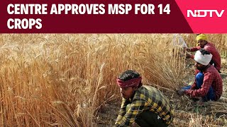 MSP Hike  Centre Approves MSP For 14 Crops Says It Is 15 Times Cost Of Production [upl. by Ainek]