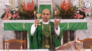 Catholic Mass Today Tuesday 18 January 2022 [upl. by Rede]